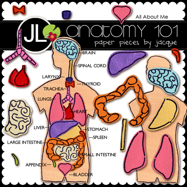 jlarsen_anatomy101-ep_lrg