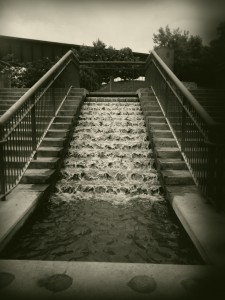 photo (10)