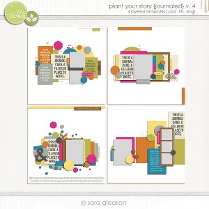 sgleason_pysjournaled4_preview