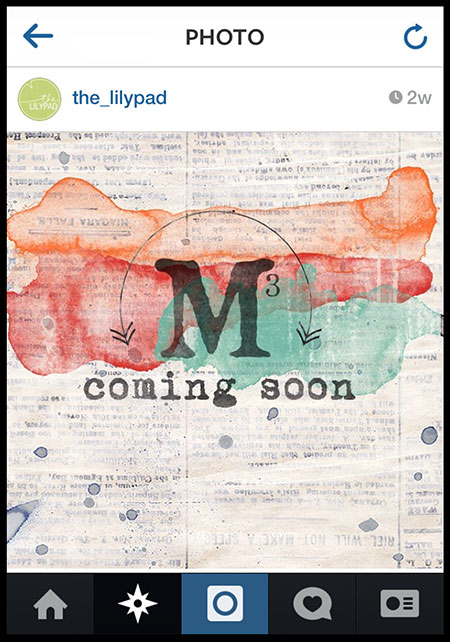 thelilypad