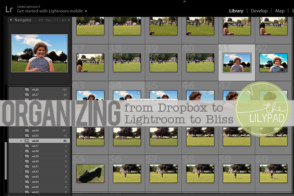 Organizing from Dropbox to Lightroom to Bliss