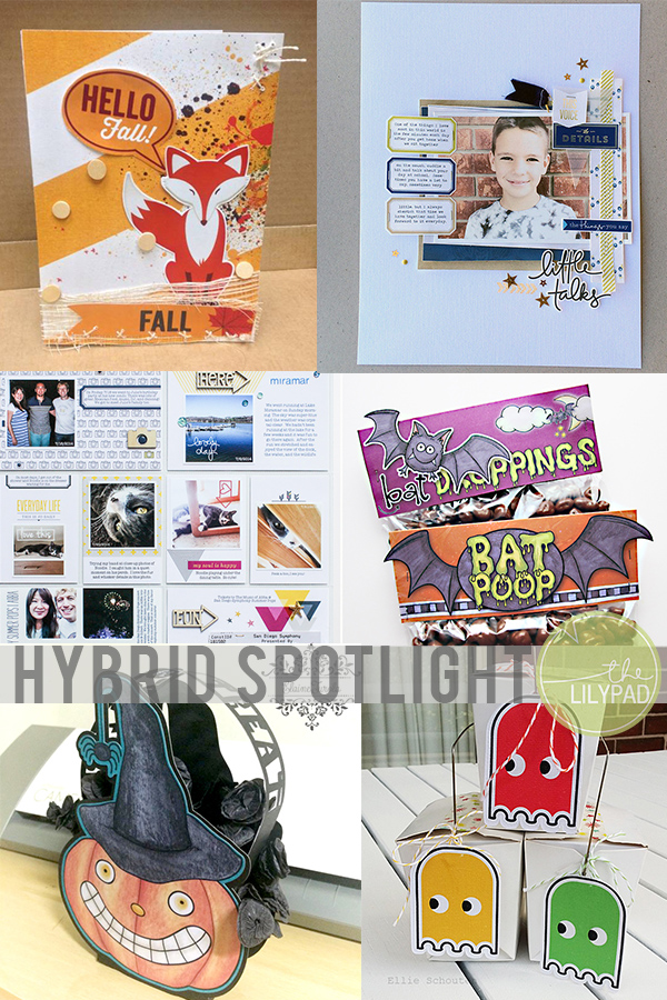 TLP-blog-header hybrid spotlight