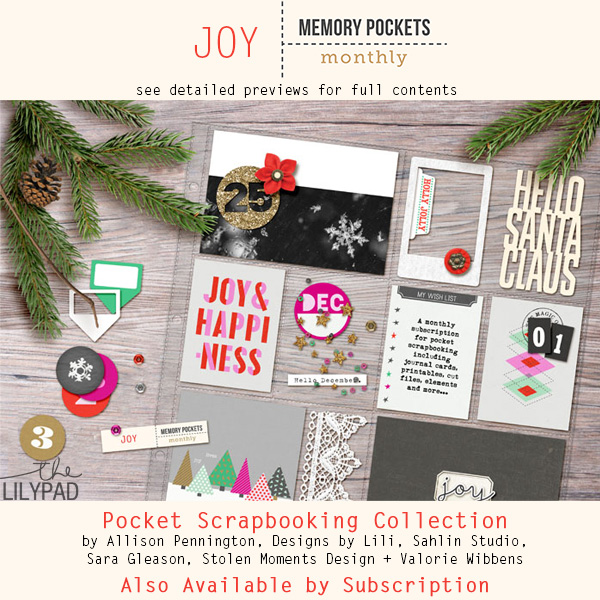 MPM-Joy-main_preview-01