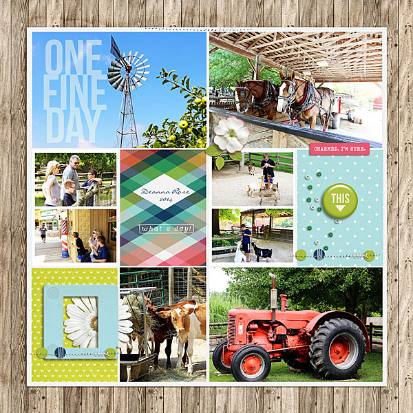 One Find Day by Nancy Beck at the Lilypad