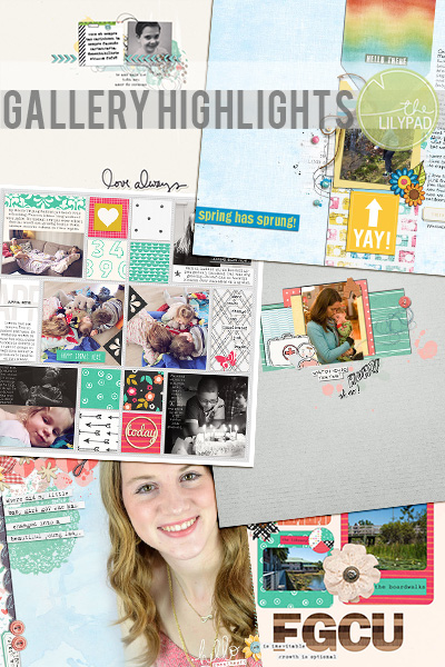 Gallery_highlights_web