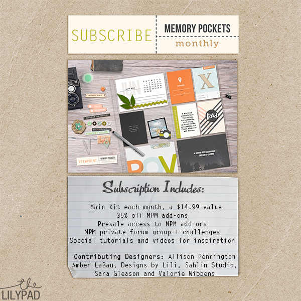 Memory Pockets Monthly June Subscription
