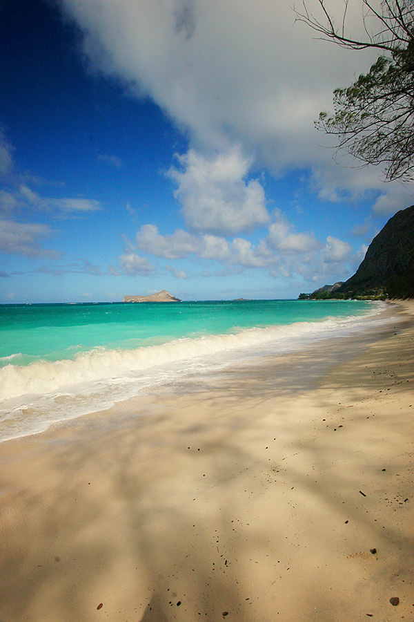 beach patterns waimanalo