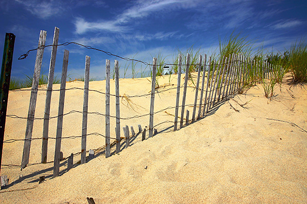 long fence
