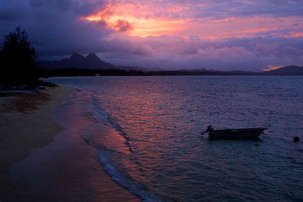 purple sunset