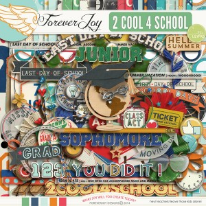 FJ-2COOL4SCHOOL