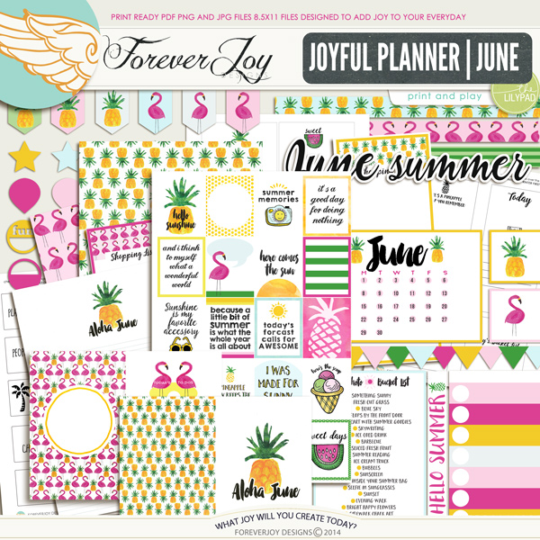 FJ-PLANNER-JUNE