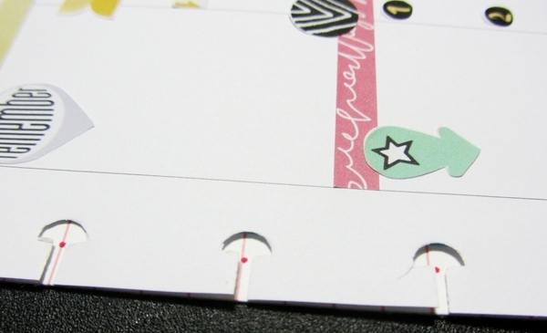 planner pages feb 29 - mar 6 marks