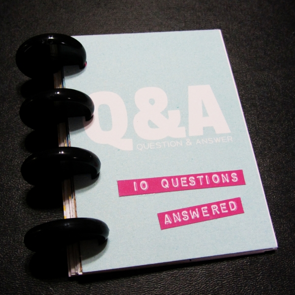 QandA mini book cover