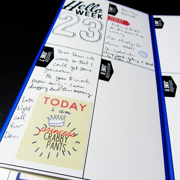 June Notes Week 23