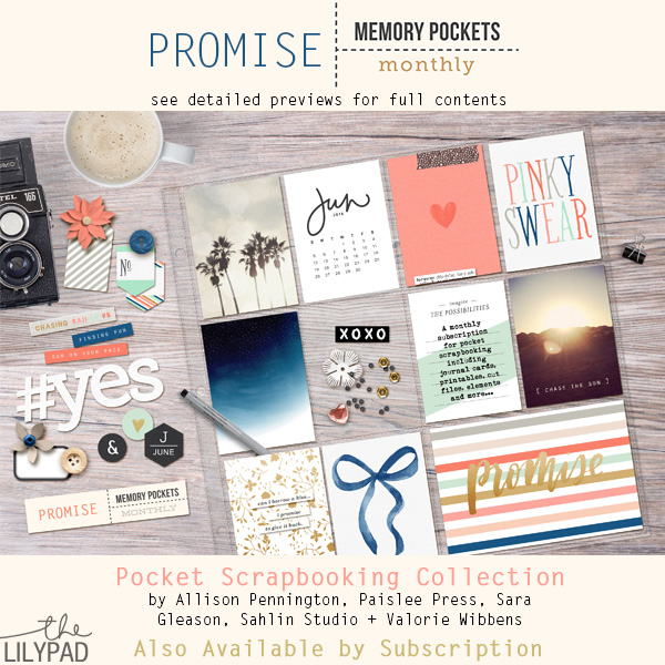 MPM-Promise-main_preview