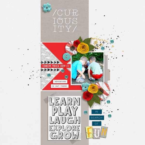 Curiousity by EllenT at the Lilypad using products from the August 2016 Memory Pockets Monthly Collection DISCOVER