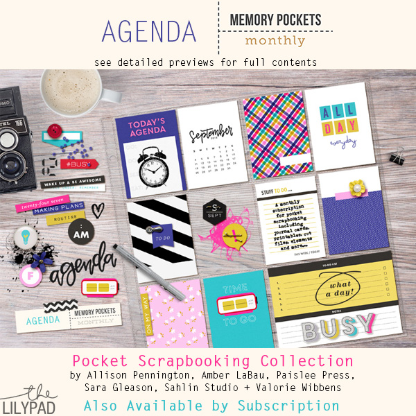 September 2016 Memory Pockets Monthly Collection at the Lilypad AGENDA