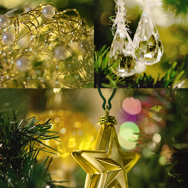 Photographing Your Tree