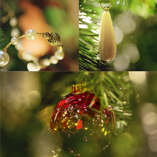 Photographing Your Tree