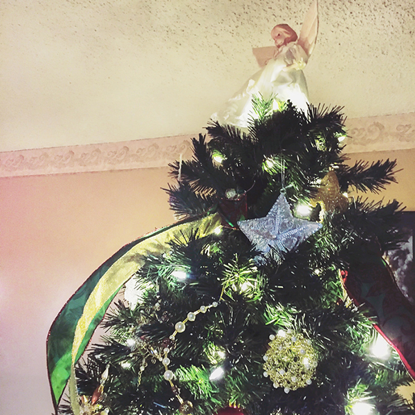 Photographing Your Tree