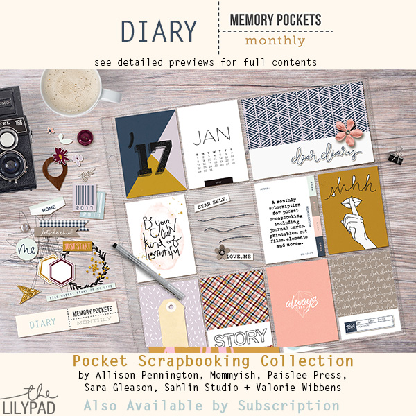 MPM-Diary_main_preview