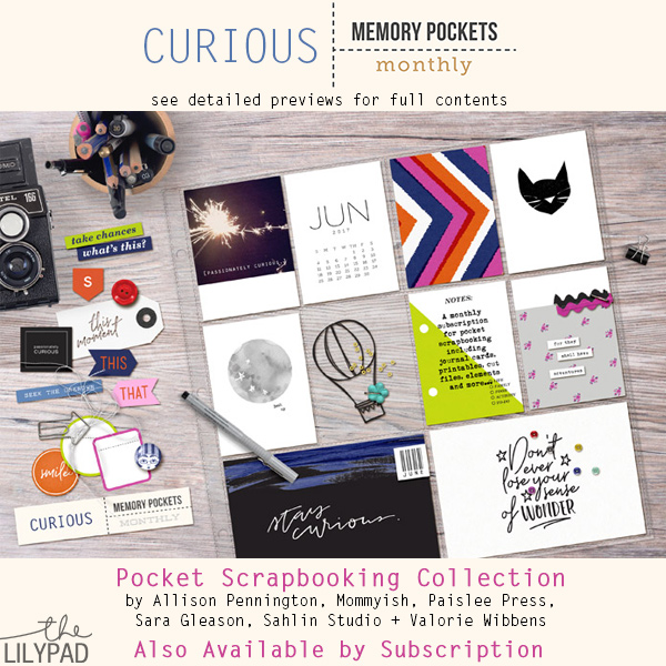 Memory Pockets Monthly: Curious