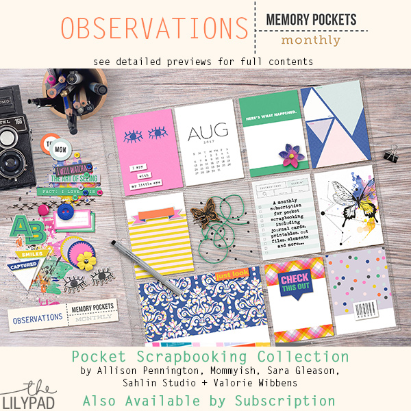 Memory Pockets Monthly : Observations