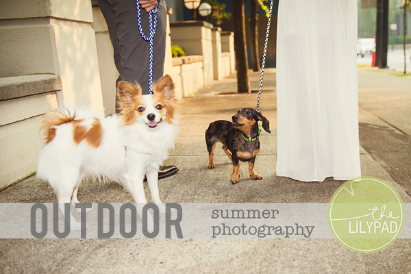 Outdoor Summer Photography