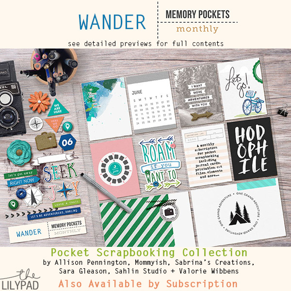 Memory Pockets Monthly : Wander