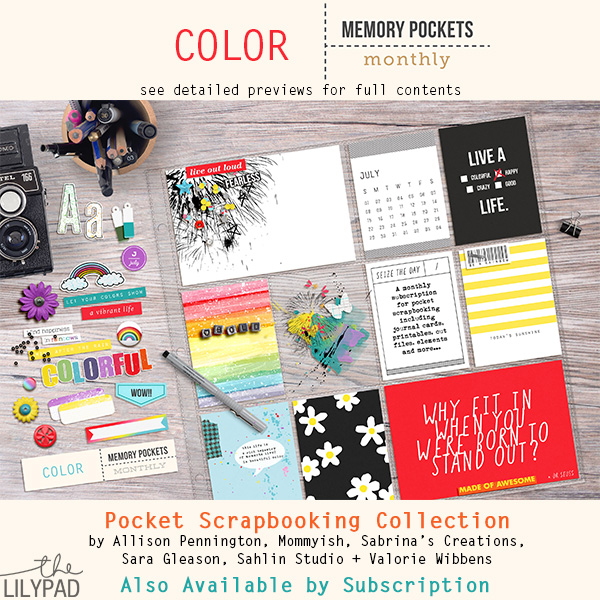 Memory Pockets Monthly: Color