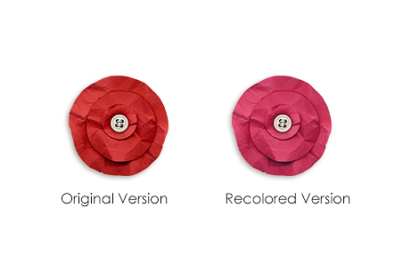 Flower-Comparison