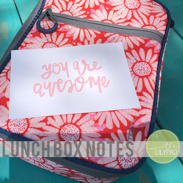 Lunch Box Notes
