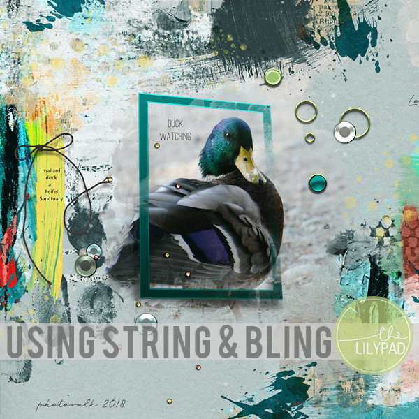Using String And Bling