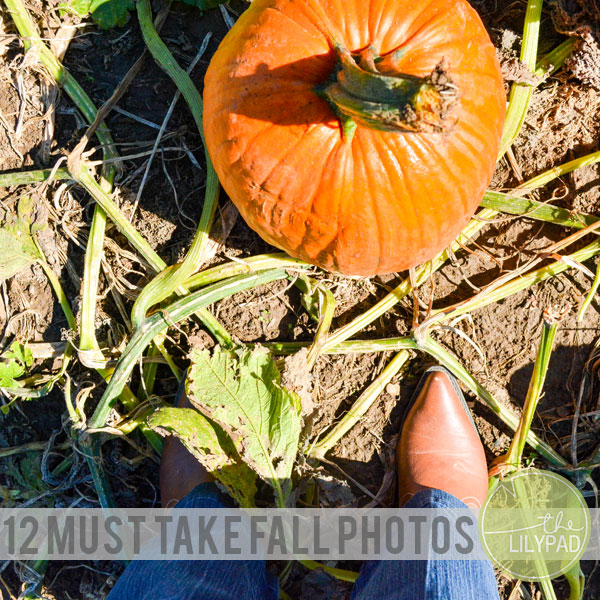 12 Must Take Fall Photos