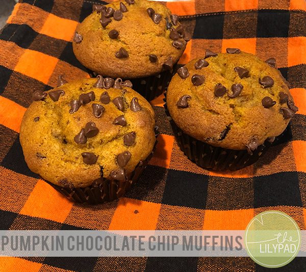 Pumpkin Chocolate Chip Muffins {Recipe}