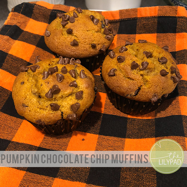 Pumpkin Chocolate Chip Muffins {Recipe}