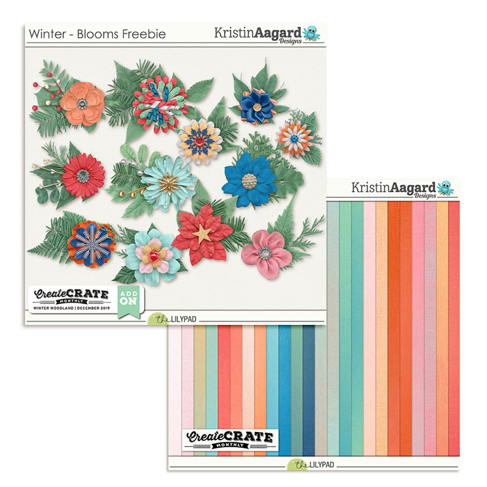Winter Blooms