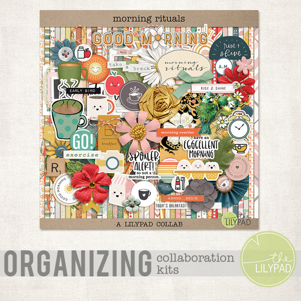 Organizing Collaboration Kits