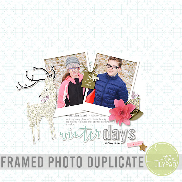 Duplicating a Framed Photo