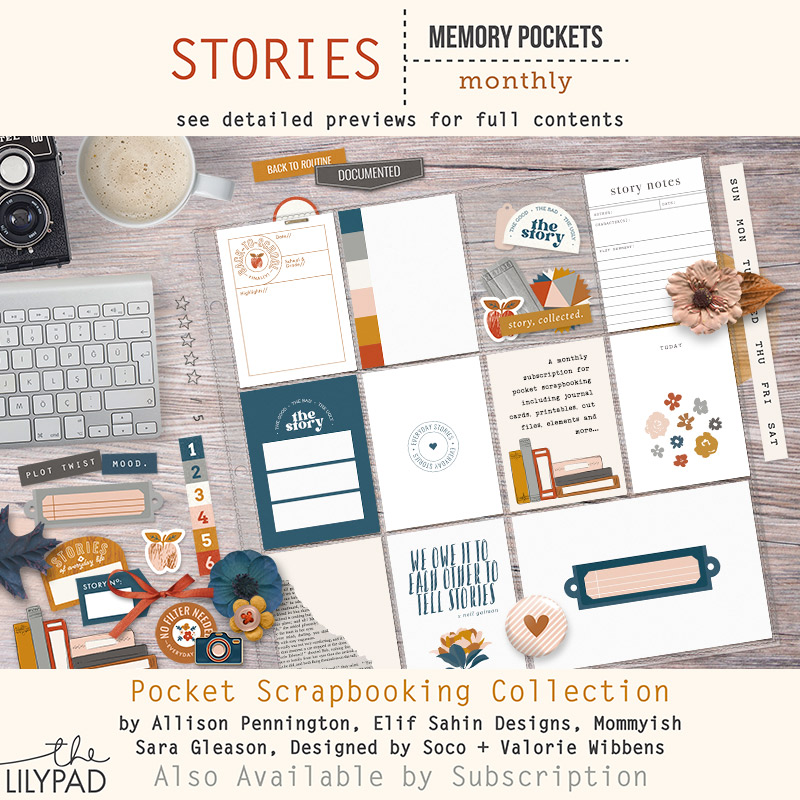 Welcome to the Newest MPM: STORIES