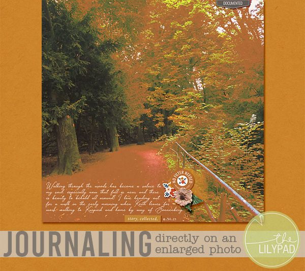 Journaling Directly on an Enlarged Photo