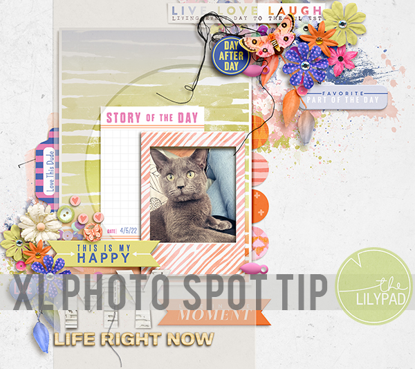 XL Photo Spot Tip