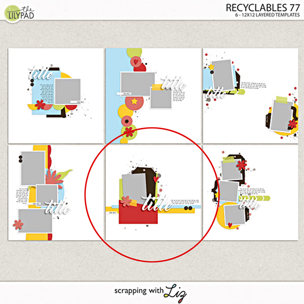 Recyclables 77
