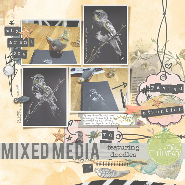 Beginners Mixed Media: Using doodled elements