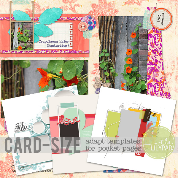 Template Tuesday: full size to card size