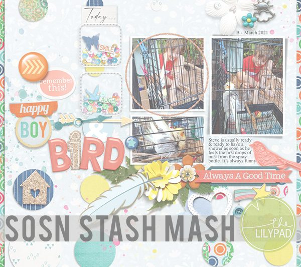 SOSN Stash Mash – March 2023
