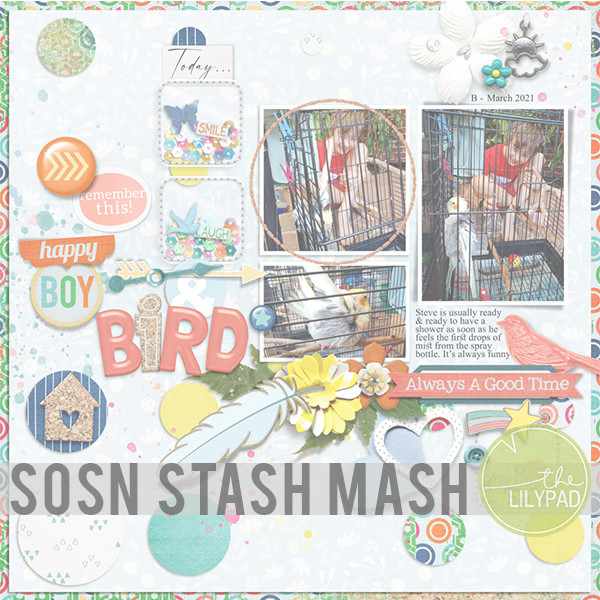 SOSN Stash Mash – March 2023