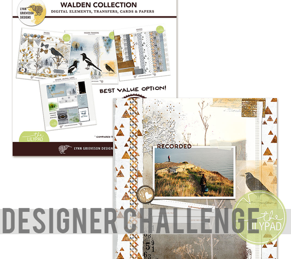 Designer Challenge Highlight: Lynn Grieveson Designs