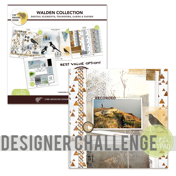 Designer Challenge Highlight: Lynn Grieveson Designs