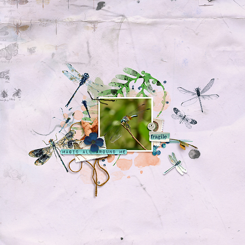 Anisoptera: Mixed Media Artistry - Image 2